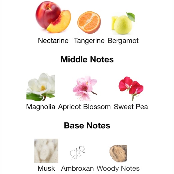 Jimmy Choo Floral eau de Toilette - Picture 3 of 3